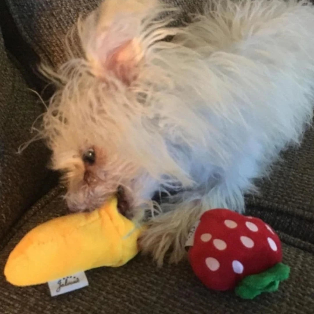 A 7-Piece Set of Puppy Sound Toys, Loose Plush Pet Chewing, Plush Fruit Snacks and Vegetable Puppy Toys, Suitable for Cute Playm