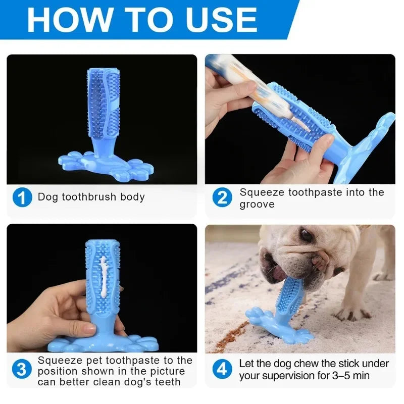 Pet Dog Cactus Interactive Rubber Chew Toys for Small Large Dogs Tooth Cleaning Toothbrush for Medium Large Dogs Treat Dispenser