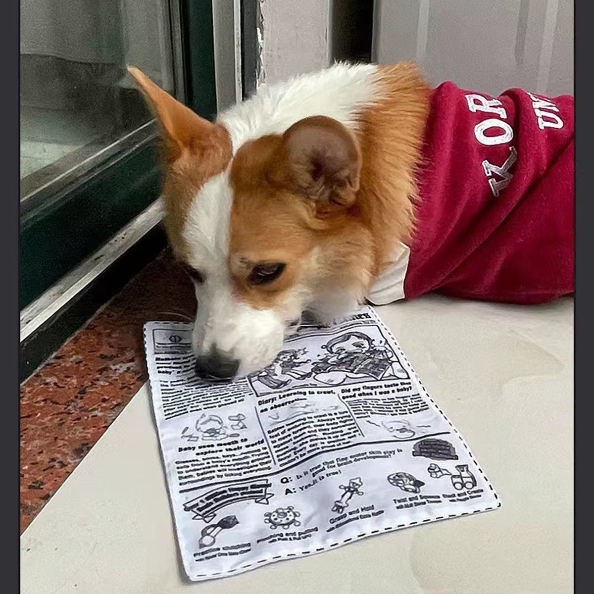 1Pc Tearproof Pet Dog Sound Toy Simulated Squeaking Newspaper Playingcard K Q J Teeth Resistant Corgi Teddy Puppy Interactive