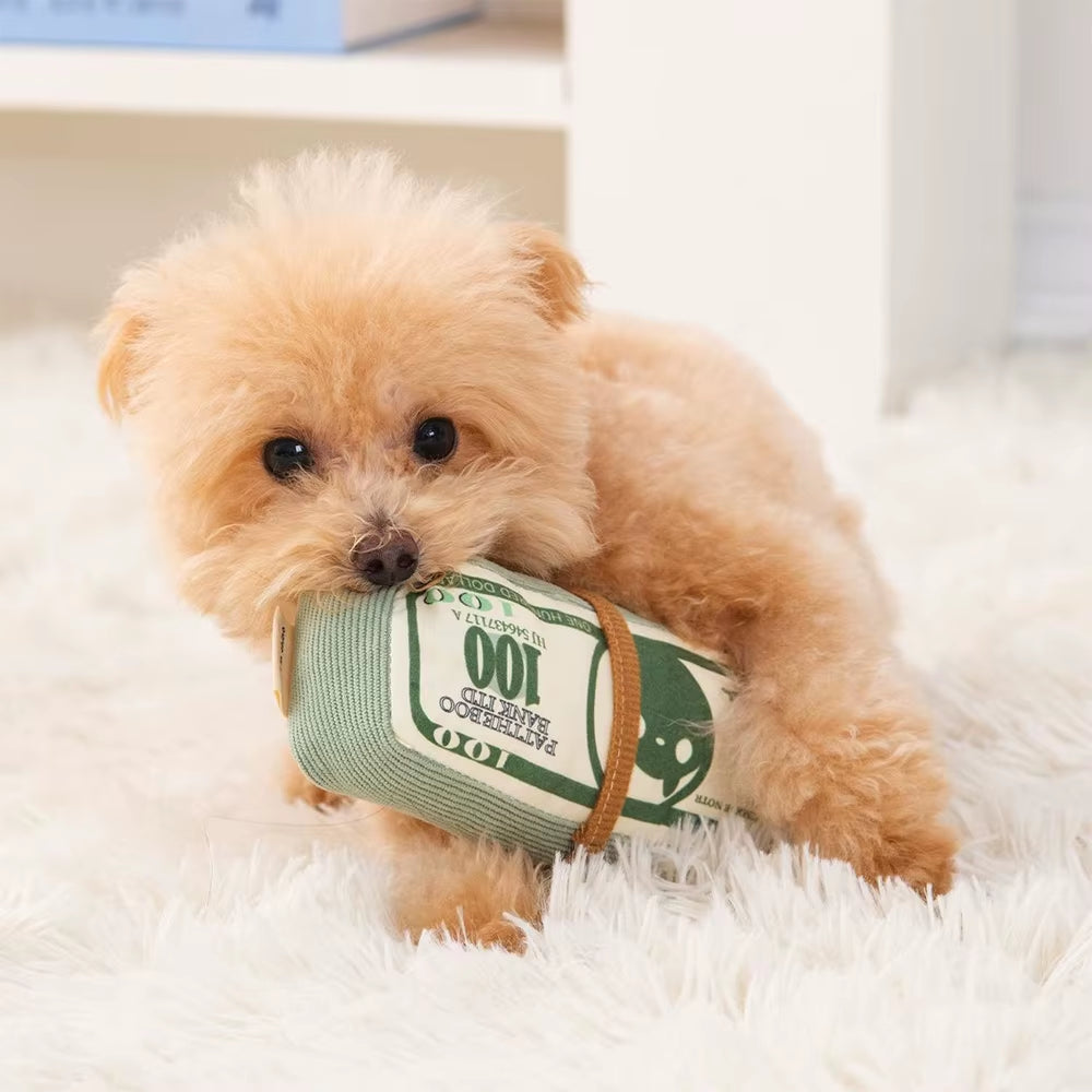 Dog Toy Money Shape Bite Resistant Indestructible Squeaky Toy Sound Interactive Self-Play for Dog Puppy Cat Pet Training Supplie