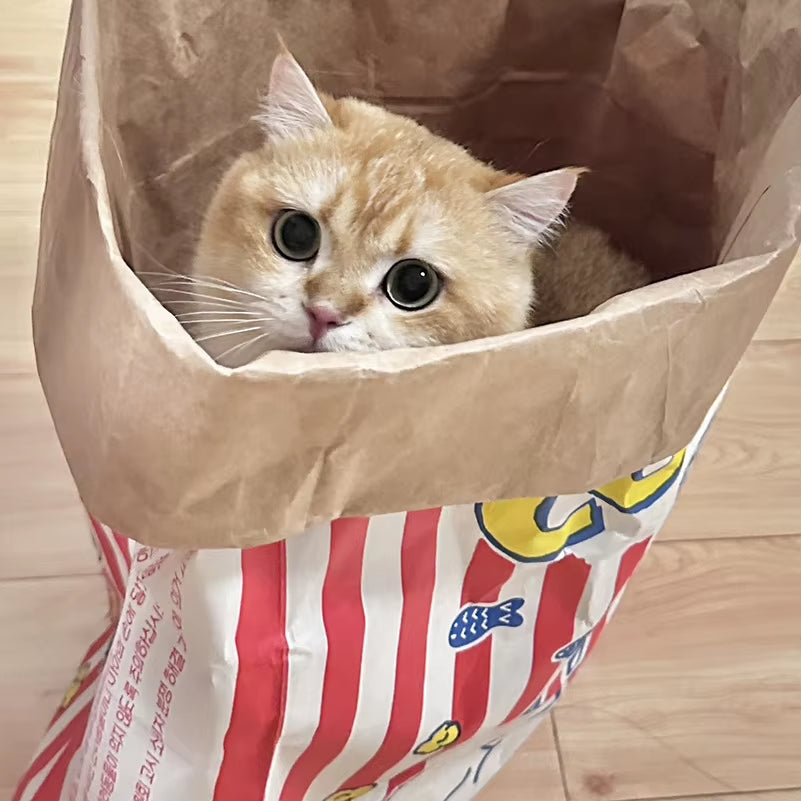 Creative Cute Durable Kraft Paper Popcorn Bag Hidden Food Puzzle Decompression Sound Chew Toy for Cat and Dog LSWJ02