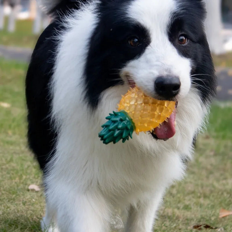 Pet Squeaky Chew Toy Dog Teeth Cleaning Toy Watermelon Pineapple Lemon Fruit Shape Puppy Bite Resistant Toy Pet Supplies