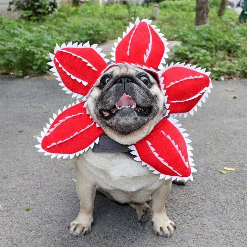 Halloween Winter Funny Cat Hat Demogorgon Scary Flower Costume Birthday Pet Accessories Pet Dogs Headwear Adjustable Sticker