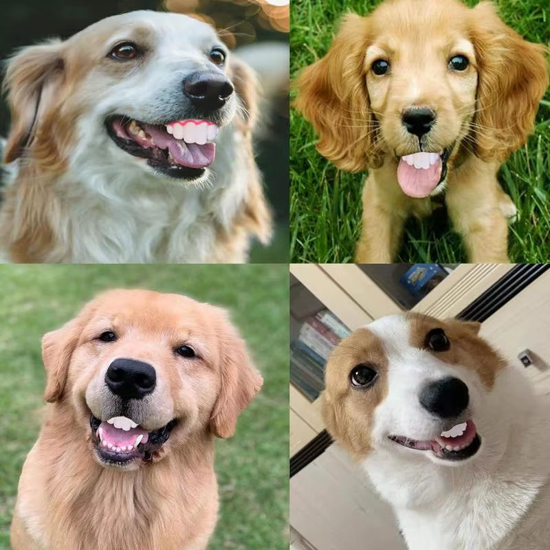 Pet Corgidog False Teeth Toy Rabbit Front Buckteeth Cover Funny Puppy Dentures Pet Decorating Cosplay Halloween Costume