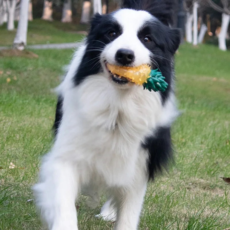 Pet Squeaky Chew Toy Dog Teeth Cleaning Toy Watermelon Pineapple Lemon Fruit Shape Puppy Bite Resistant Toy Pet Supplies