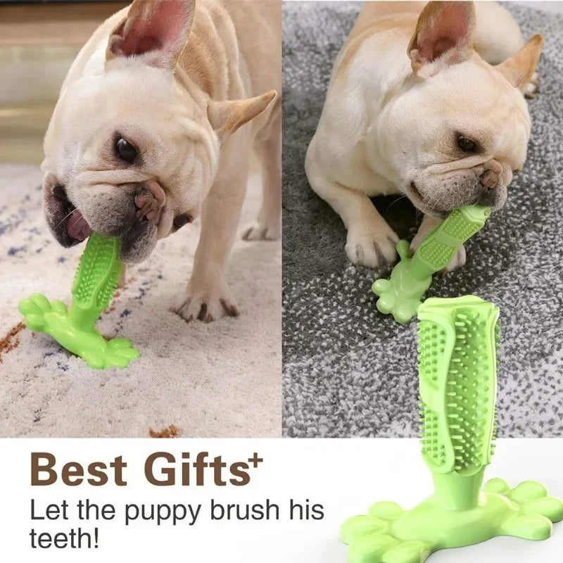 Pet Dog Cactus Interactive Rubber Chew Toys for Small Large Dogs Tooth Cleaning Toothbrush for Medium Large Dogs Treat Dispenser