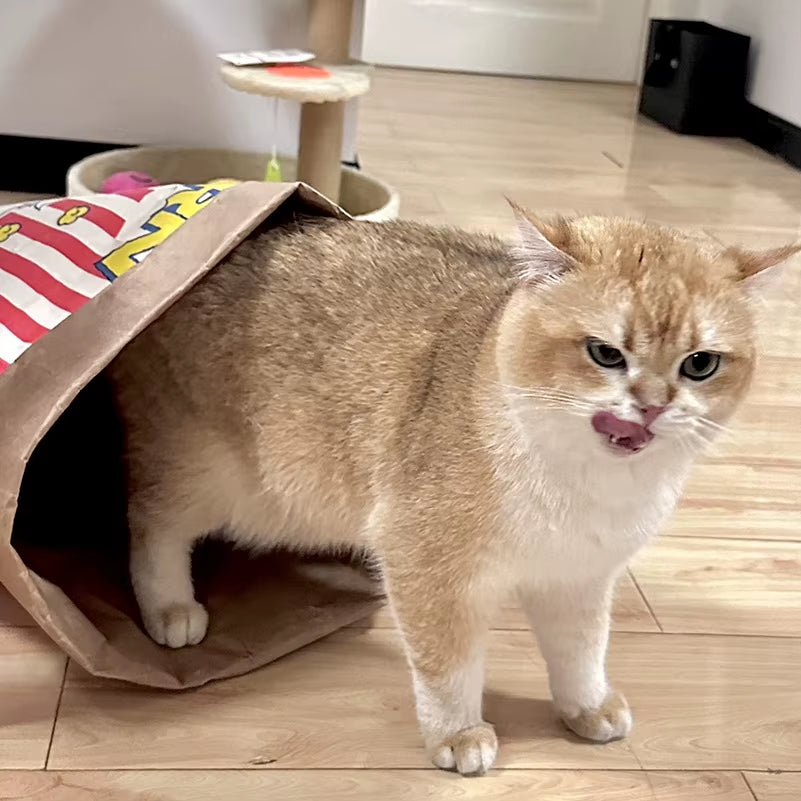 Creative Cute Durable Kraft Paper Popcorn Bag Hidden Food Puzzle Decompression Sound Chew Toy for Cat and Dog LSWJ02