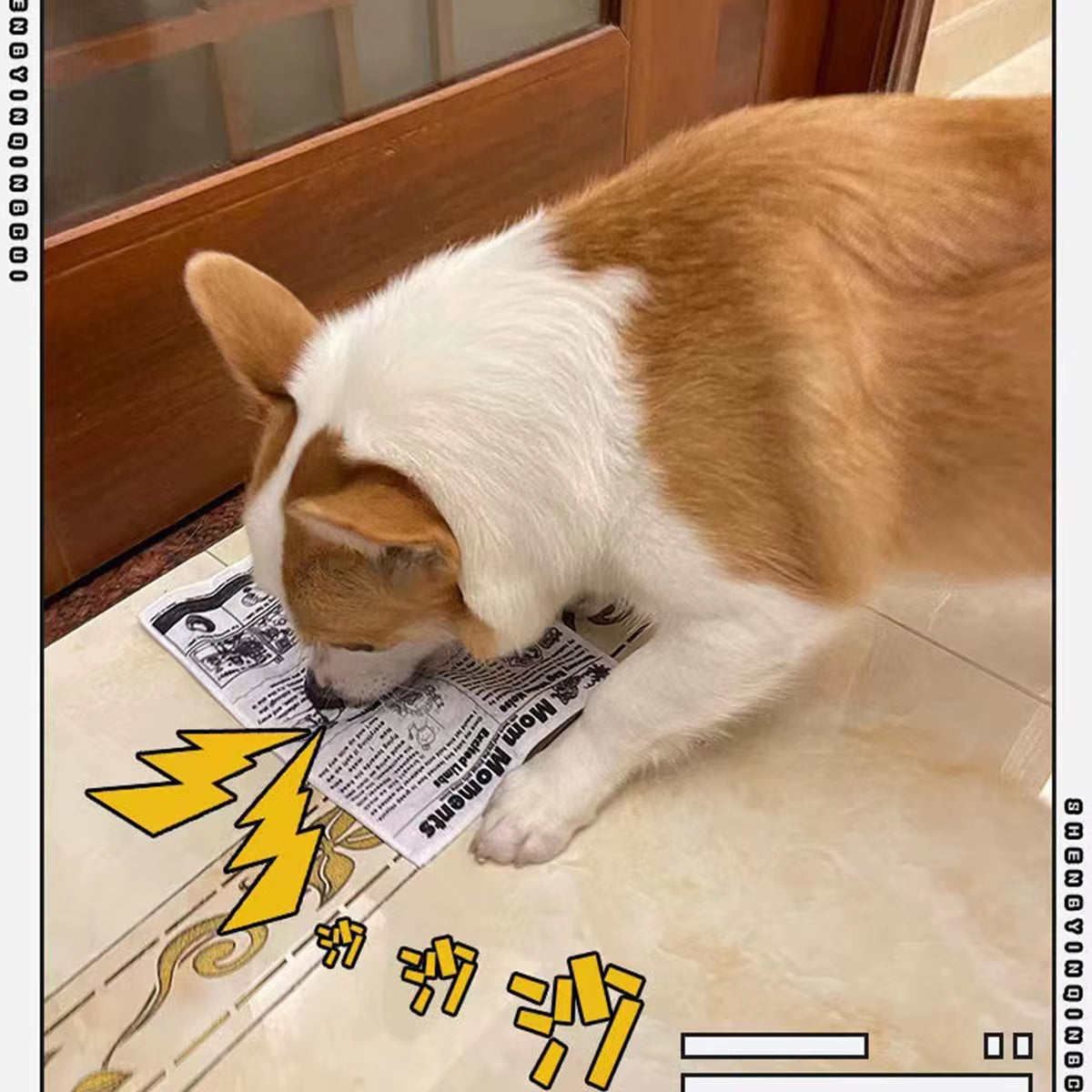 1Pc Tearproof Pet Dog Sound Toy Simulated Squeaking Newspaper Playingcard K Q J Teeth Resistant Corgi Teddy Puppy Interactive