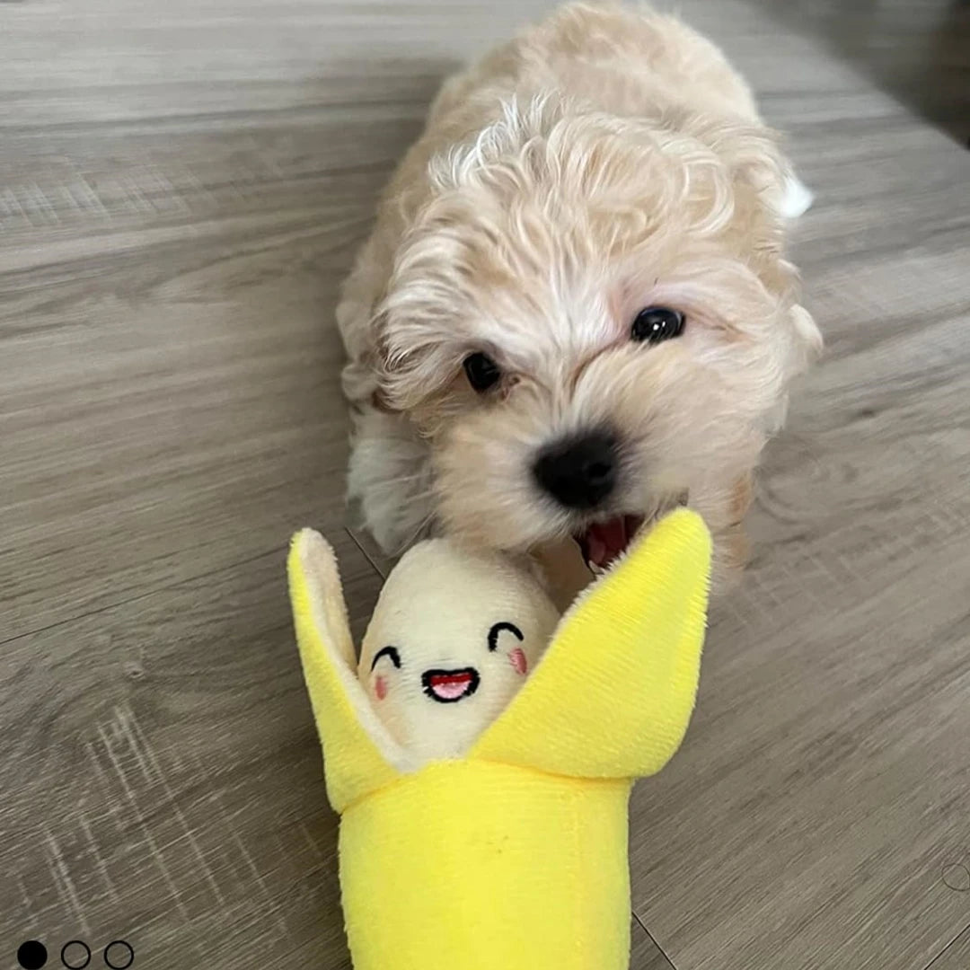 A 7-Piece Set of Puppy Sound Toys, Loose Plush Pet Chewing, Plush Fruit Snacks and Vegetable Puppy Toys, Suitable for Cute Playm