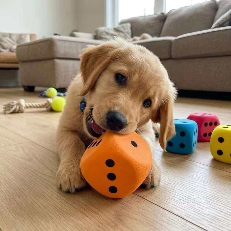 Pet Dog Eva Solid Foam Dice Toy Large Colorful Cube Interactive Game Training Toy for Dogs