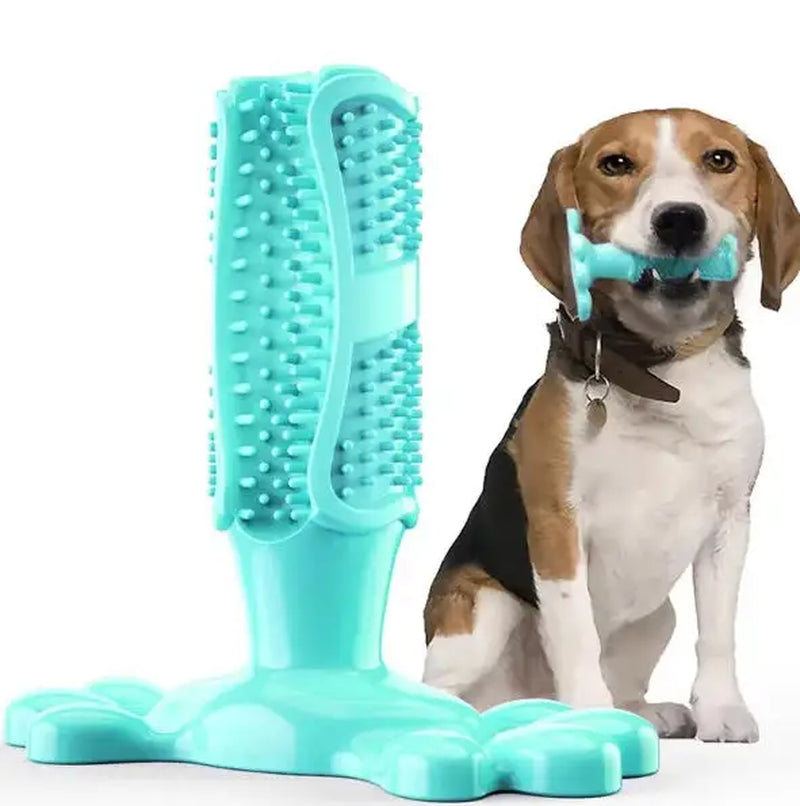 Pet Dog Cactus Interactive Rubber Chew Toys for Small Large Dogs Tooth Cleaning Toothbrush for Medium Large Dogs Treat Dispenser