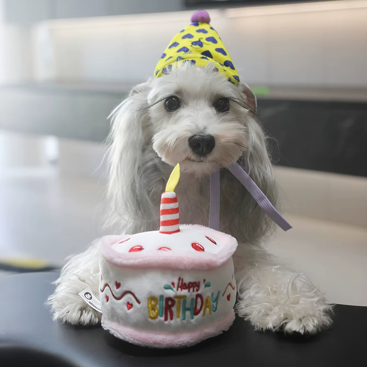 Interactive & Durable 1 Plush Pink Birthday Cake Squeaky Toy for Pets，With "HAPPY BIRTHDAY" Embroidery, Crinkle Paper