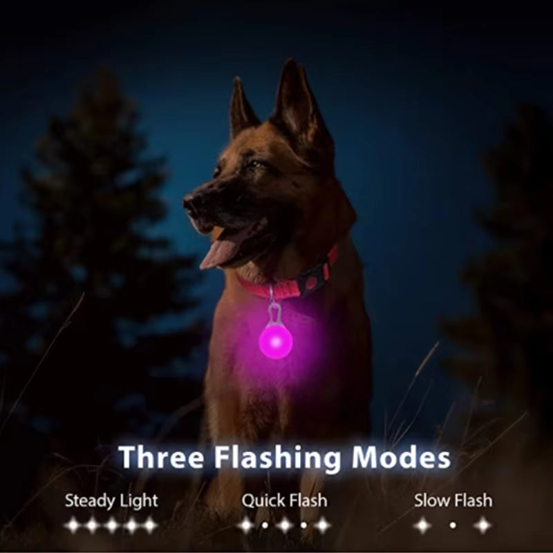 LED Glowing Pendant Flashlight Dog Cat Collar Pet Leads Glow Accessories Bright Necklace Luminous Collar Night Safety Decor