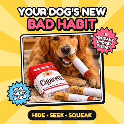 Funny cigarette pack dog toy set with 3 squeaky plush smokes