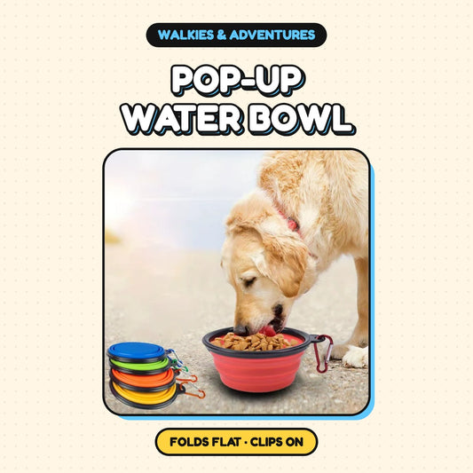 The Pop-Up Water Bowl