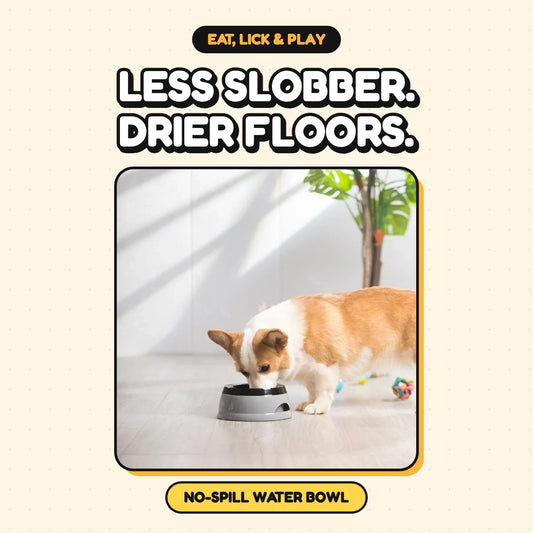 The Slobber Stopper No-Spill Bowl