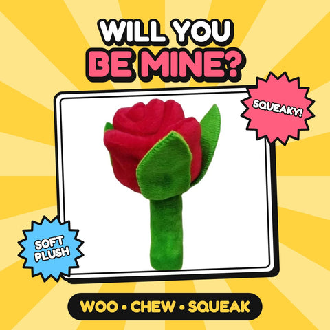 The Romeo Rose Squeaker