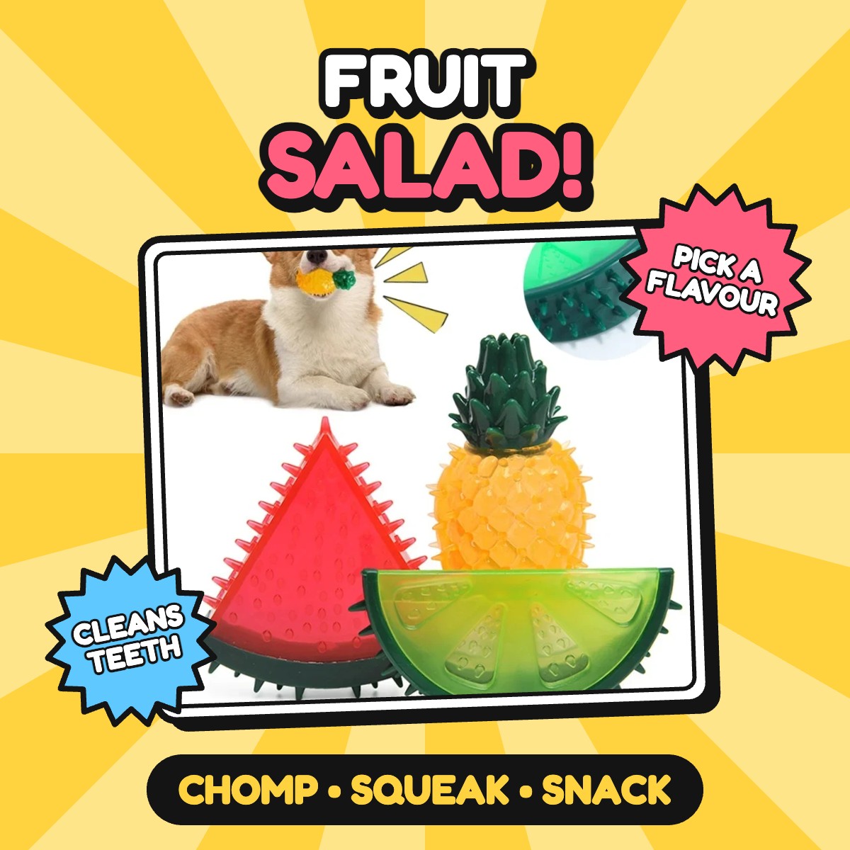 The Fruit Salad Squeakers