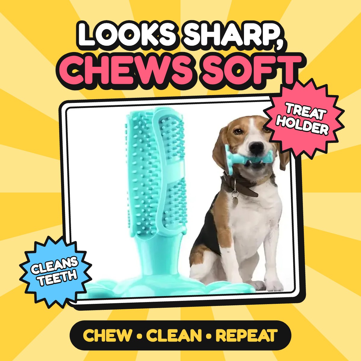 The Prickly Pal Cactus Chew