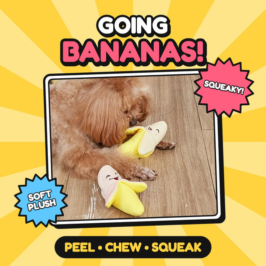 The Top Banana Squeaker
