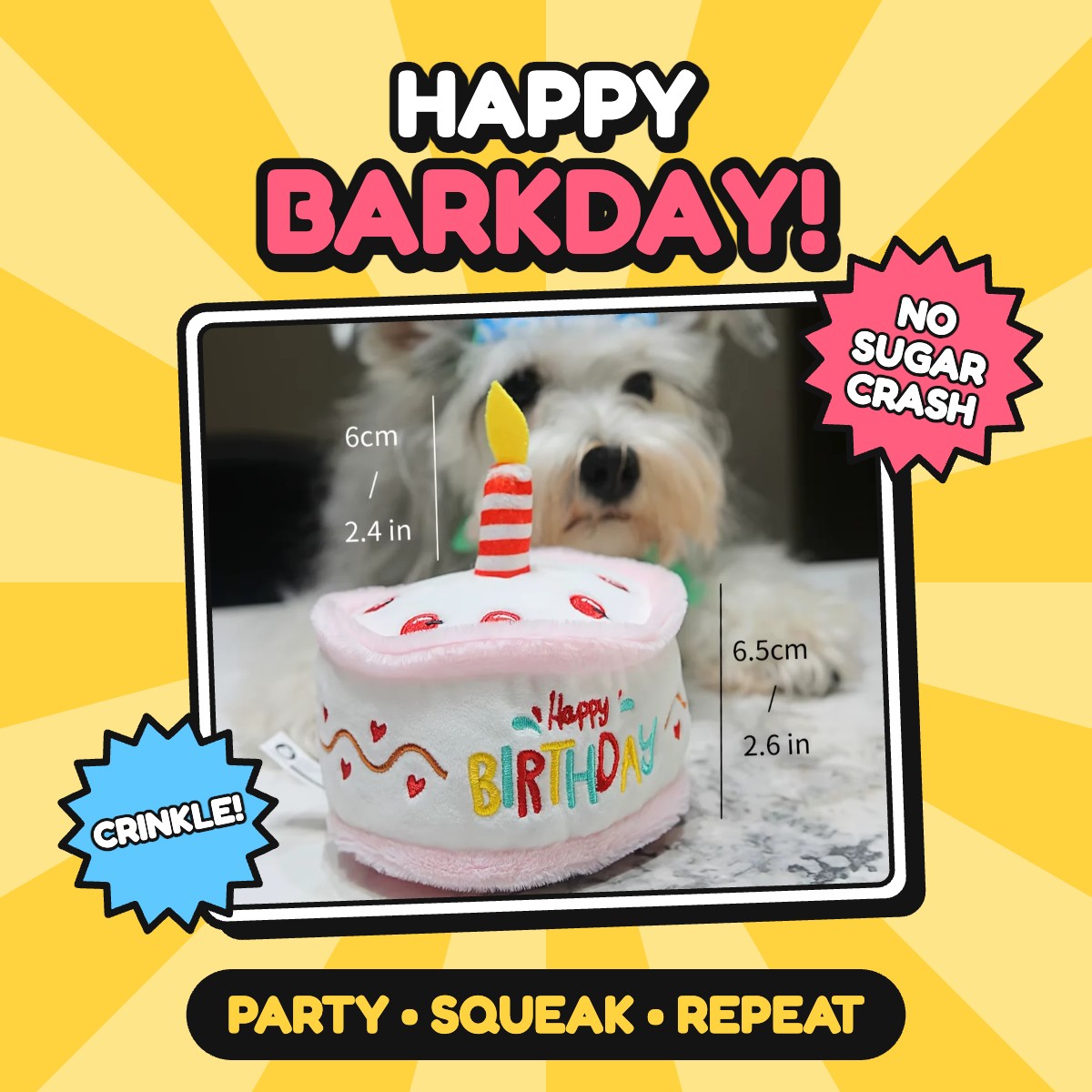 The Birthday Cake Squeaker
