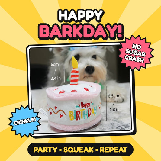 The Birthday Cake Squeaker