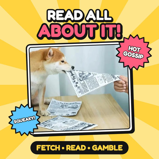 The Morning Paper & Poker Pack