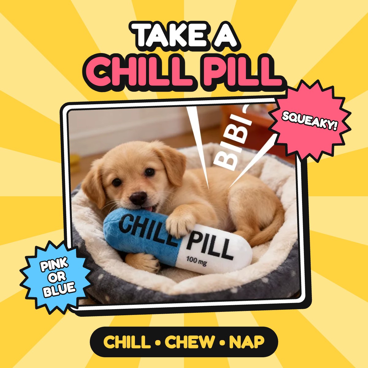 The Chill Pill Squeaker