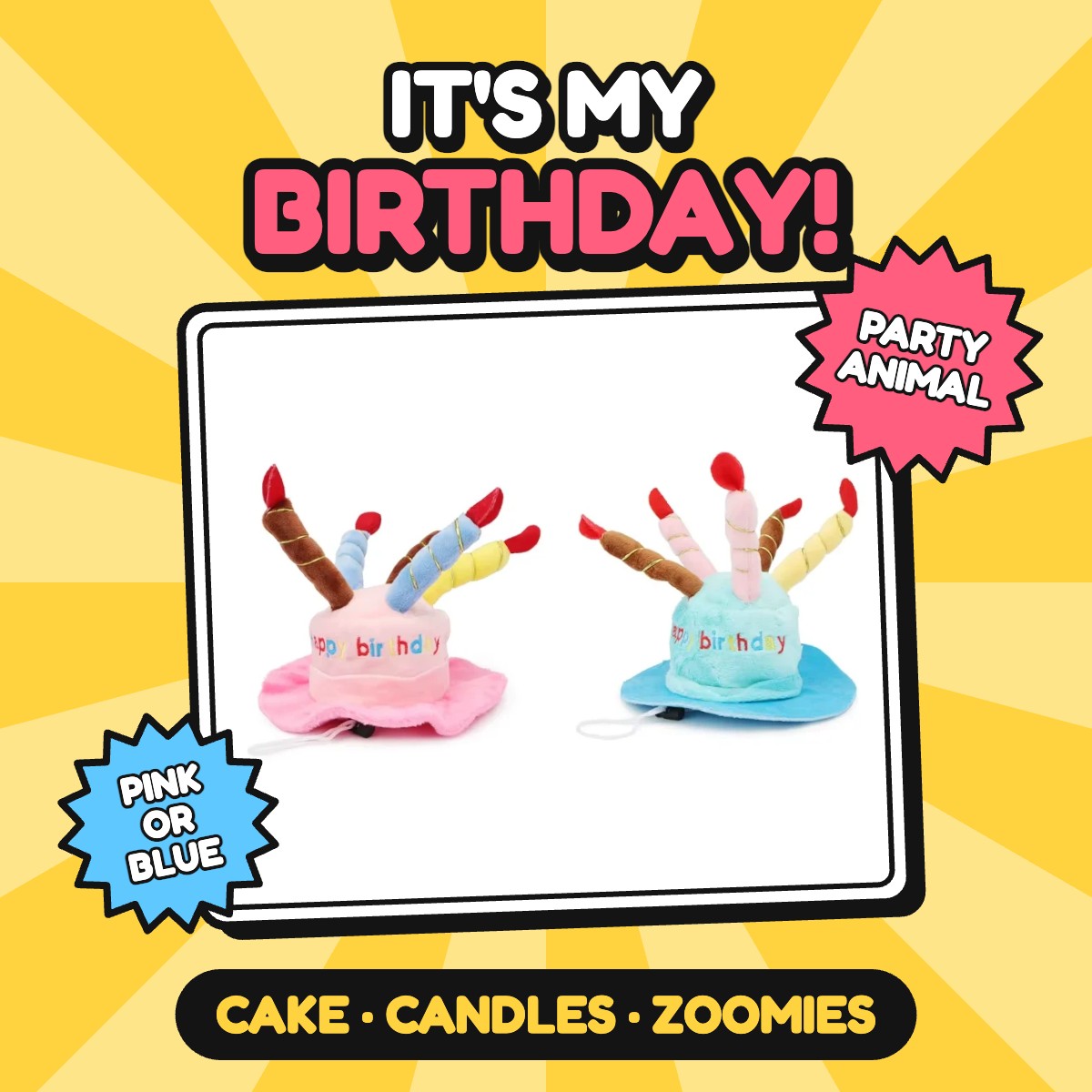 The Party Animal Cake Hat