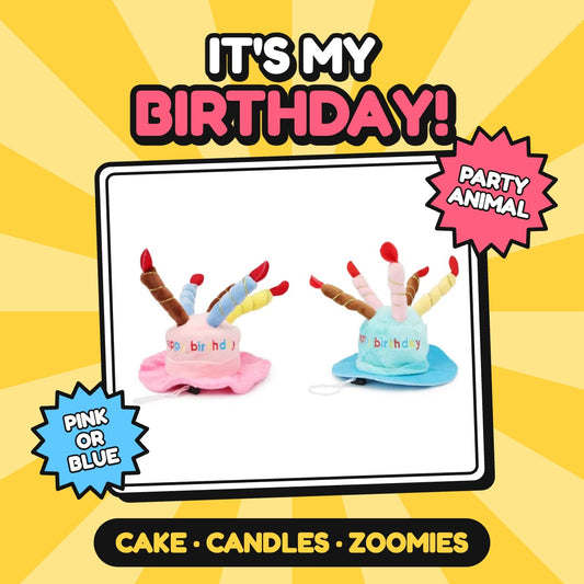 The Party Animal Cake Hat