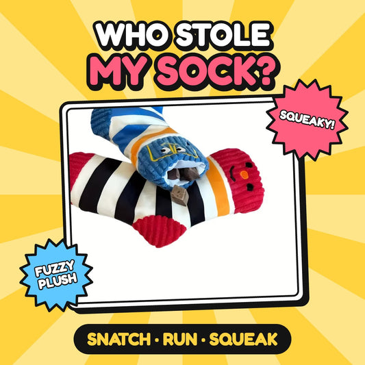 The Sock Thief