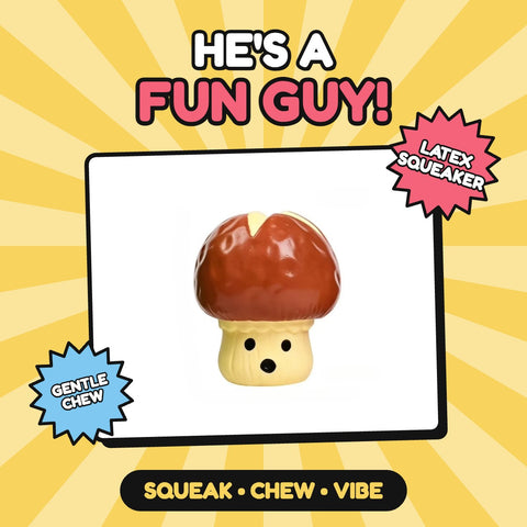The Fun Guy mushroom