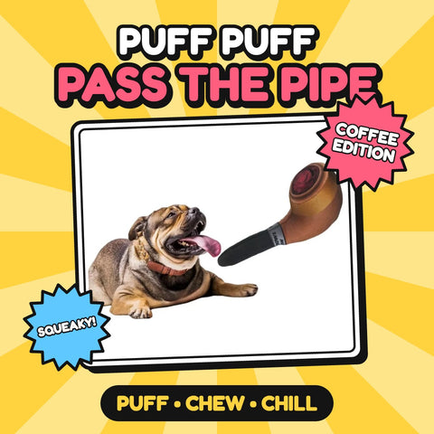 Dog with The Puff Puff Pipe in coffee